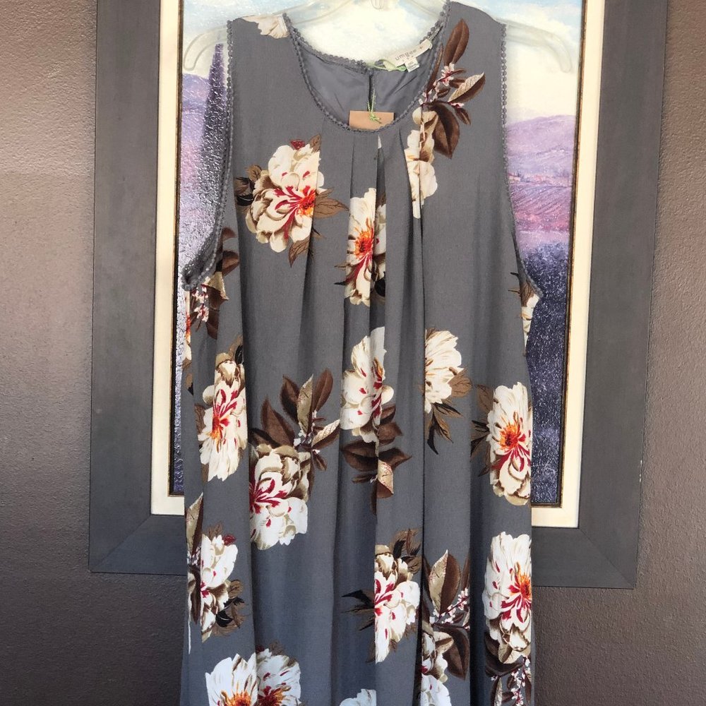 Umgee NWT dress - 1X